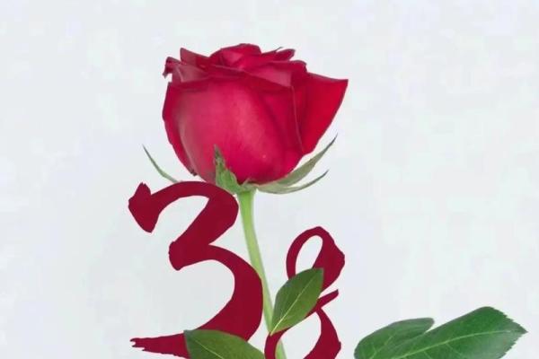 38妇女节是谁的节日 哪些人可以过妇女节 38妇女节是谁的节日 哪些人可以过妇女节