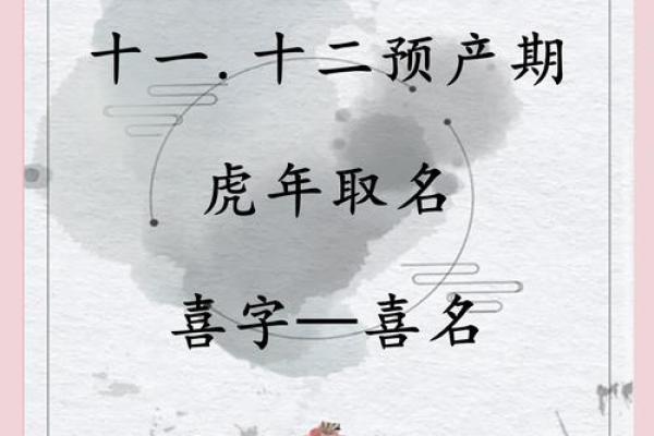 琪属什么五行