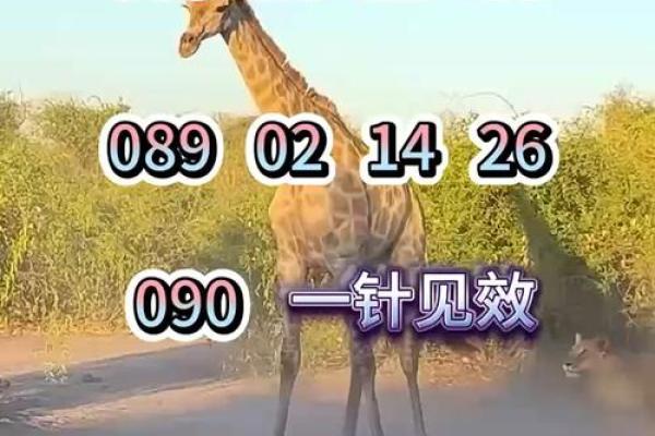 才高八斗是什么生肖 才高八斗是什么动物 才高八斗是什么生肖 才高八斗是什么动物