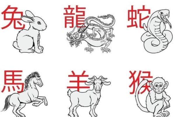 有备无患打一生肖 有备无患打一正确生肖动物 有备无患打一生肖 有备无患打一正确生肖动物