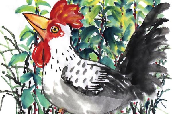 无光的生肖是什么动物 无光的生肖打一生肖