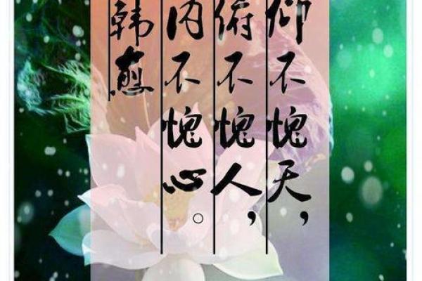 仰不愧天打一生肖 仰不愧天代表什么动物 仰不愧天打一生肖 仰不愧天代表什么动物