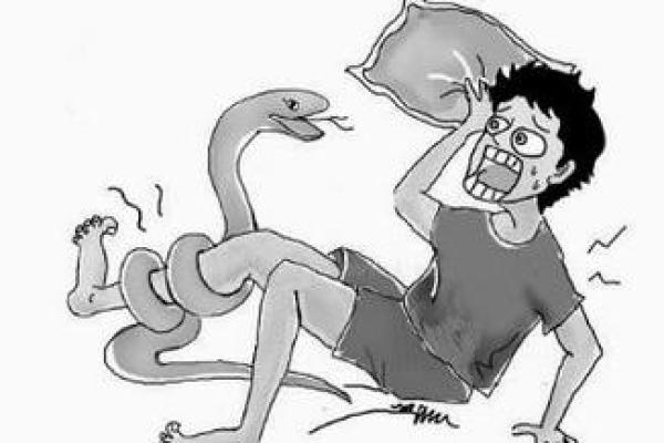 梦见屁股被蛇咬了是什么征兆 梦见屁股被蛇咬了是什么征兆