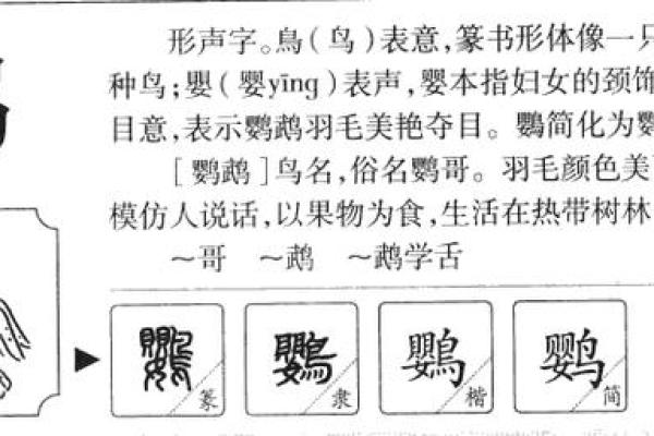 洋字五行属什么 洋字五行属什么
