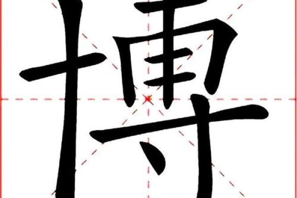 博字五行属什么 博字五行属什么