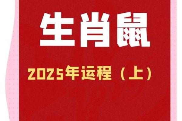 1972年鼠女2025年每月运势(1972女鼠在2023年的生肖运势)