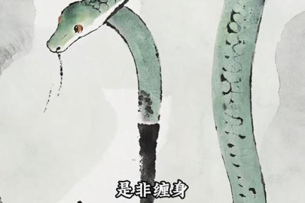 草蛇灰线打一生肖
