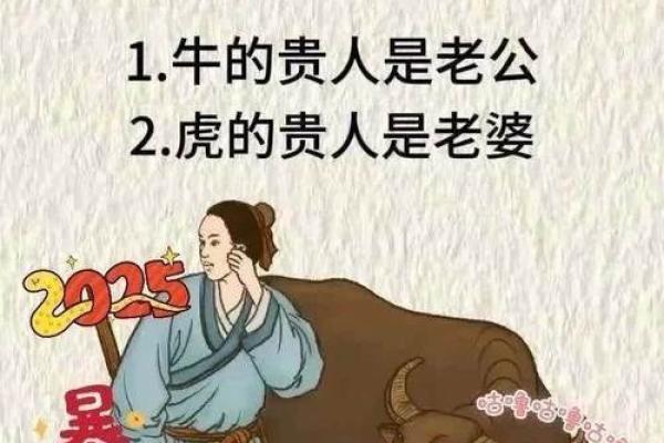 属龙女属猴男5月结婚吉日