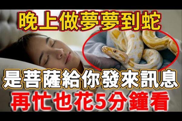 男人梦见蛇是怎么回事