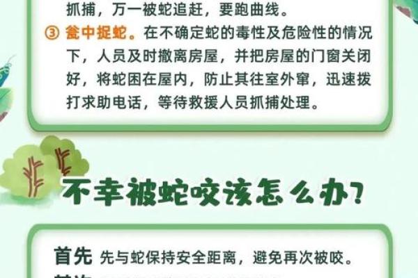 梦见被蛇咬死