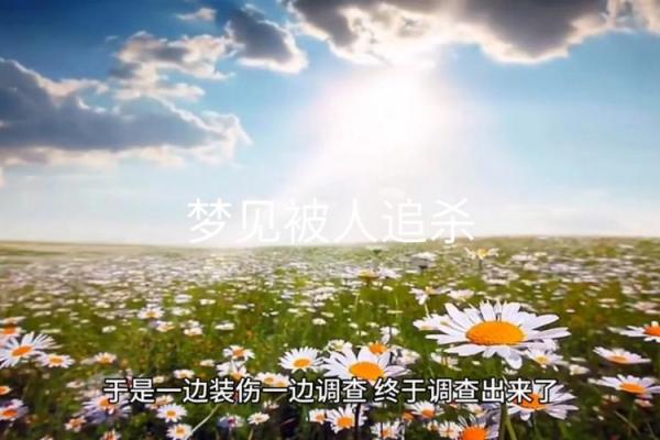 女生梦见被追杀一直在逃跑躲藏