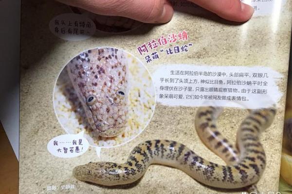 梦到杀蛇蛇来报复好不好