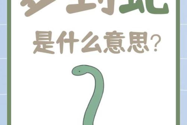 梦到蛇进屋预示着什么