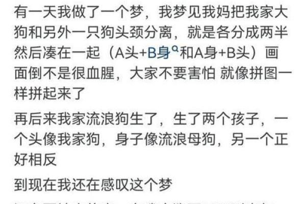 怀孕老梦见老公出轨是怎么回事