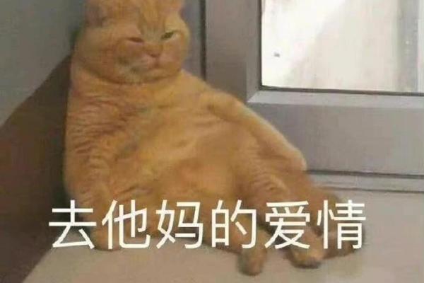 梦到男朋友出轨了