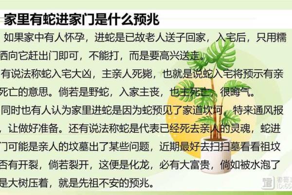 梦见和大蛇搏斗什么预兆