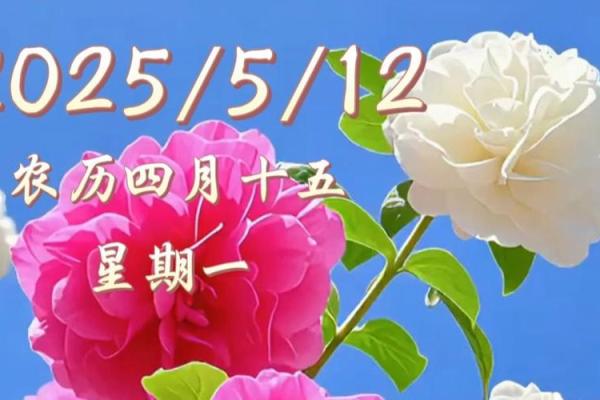 2025年5月15日农历是多少(2025年5月15日农历是多少)