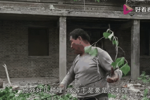 做梦扒房子是什么预兆