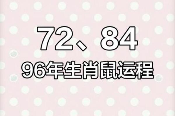 96年属鼠2025年运势(96年属鼠2025年运势完整版)