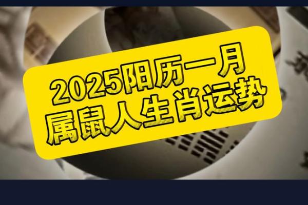 属鼠人2025年全年运势详解(属鼠人2025年全年运势详解2008)