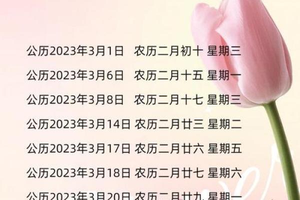 搬家日子2025年黄道吉日(搬家黄道吉日查询2023年)