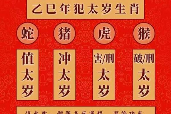 鼠女2025年运势完整版(1983年猪女2025年运势完整版)