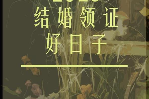 2025年5月领证吉日(2025年5月领证吉日)
