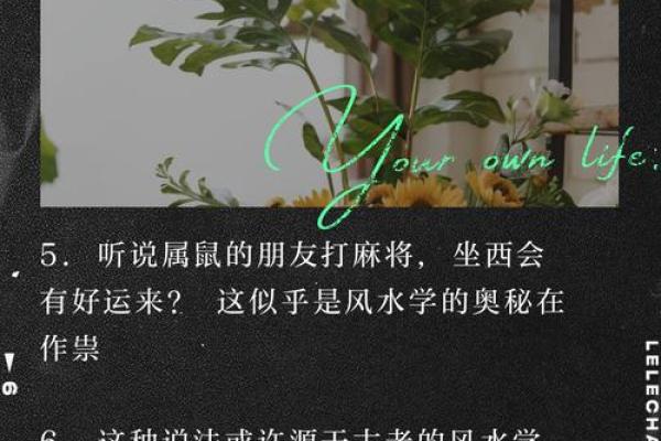 属鼠人今日打麻将幸运色(属鼠人今天打麻将的财运)