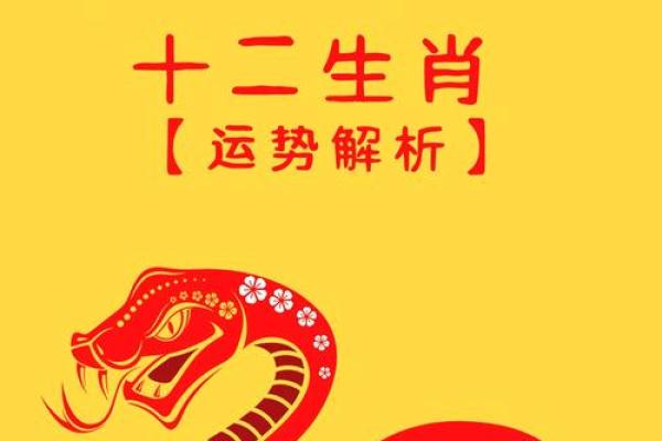 2025年鼠年运势及运程1984(2025年鼠年运势及运程1988年生人)