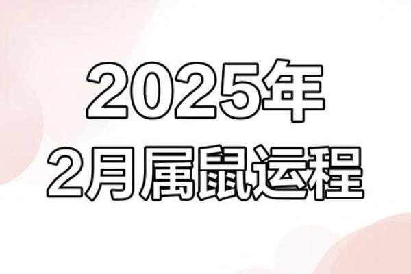 1972年属鼠人2025年运势及运程(1972年属鼠人2025年运势运程每月运程智能回答)