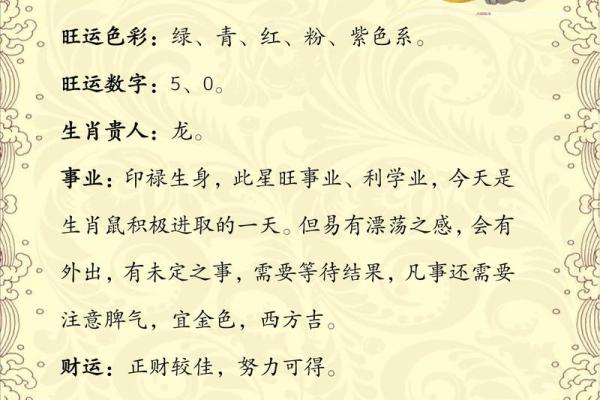 2025年鼠女1972全年运程(属鼠在2025年运势怎样)