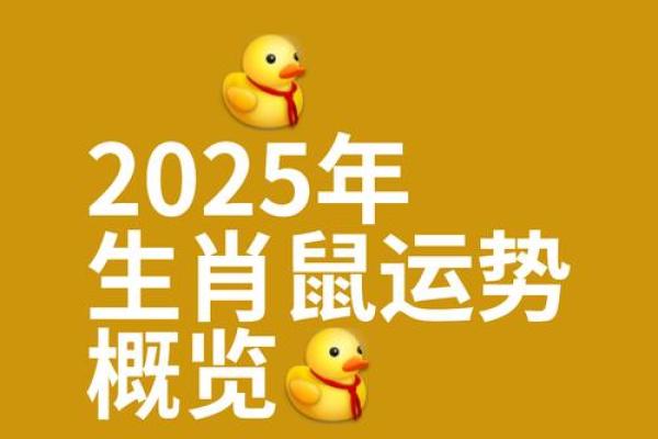 1984女鼠2025全年运势(1984年属鼠2025年运势)
