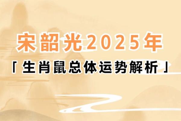 鼠人今日运势看黄历(鼠人今曰运势)