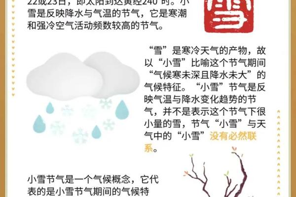 小雪是什么时候2021 二十四节气之小雪的由来与含义 小雪是什么时候2021 二十四节气之小雪的由来与含义