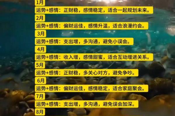 属鼠人4月运势(属鼠人4月运势) 属鼠人4月运势(属鼠人4月运势)