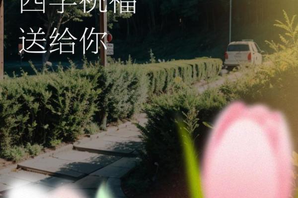 梦见搬进新房子 梦见搬进新房子