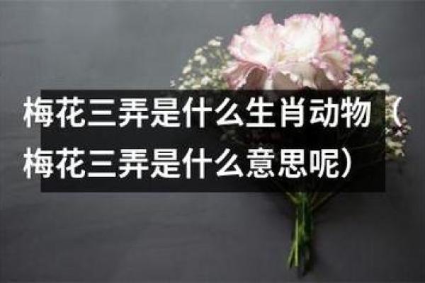 月黑风高指什么生肖 月黑风高指什么生肖