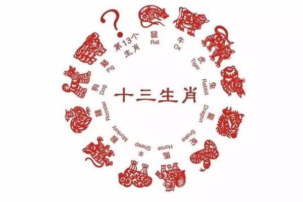 一牛九锁是什么生肖 一牛九锁是什么生肖
