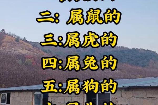 神不守舍打一动物生肖 神不守舍指什么生肖动物 神不守舍打一动物生肖 神不守舍指什么生肖动物