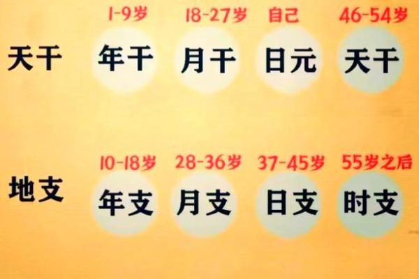 八字看2026年学业考试:哪些命格易上榜? 八字看2026年学业考试:哪些命格易上榜?