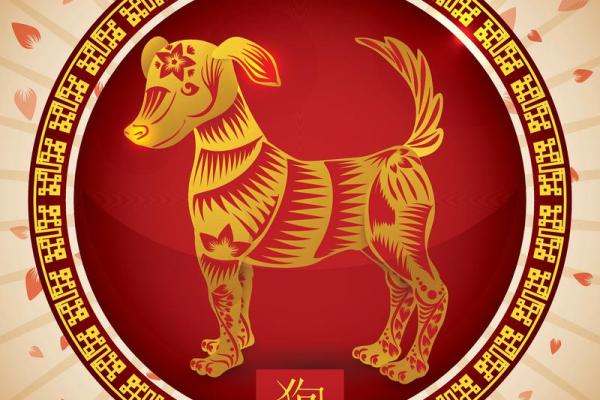 2026年宠物窝位：生肖相生