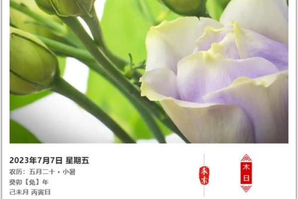 7月黄道吉日查询2023年