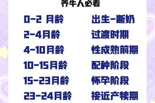 属牛几月出生最好