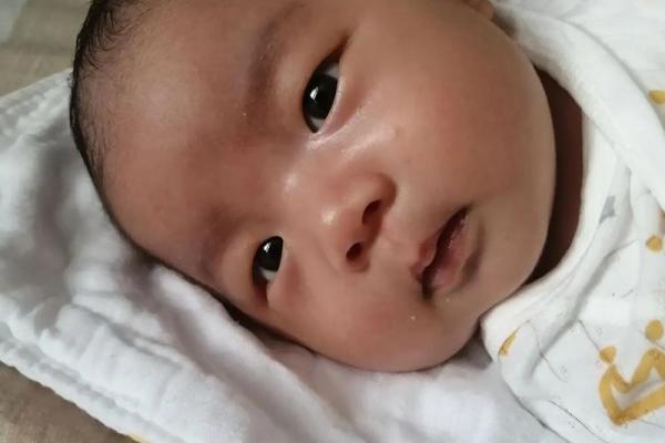 属马的2023年生兔宝宝好吗 属马的2023年生兔宝宝好吗