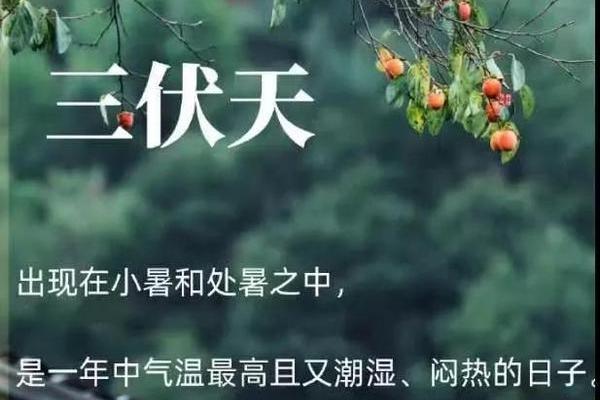 暑伏是几月几号2021 暑伏是几月几号2021