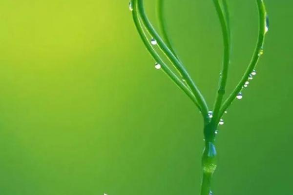 什么时候立春2024年的几月份立春 什么时候立春2024年的几月份立春