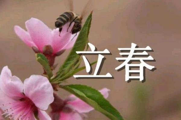 立春打春为什么不能回娘家 打春当天能回娘家吗