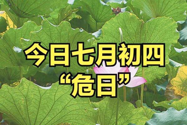 2024年7月余事勿取吉日推荐，本月宜忌早知道