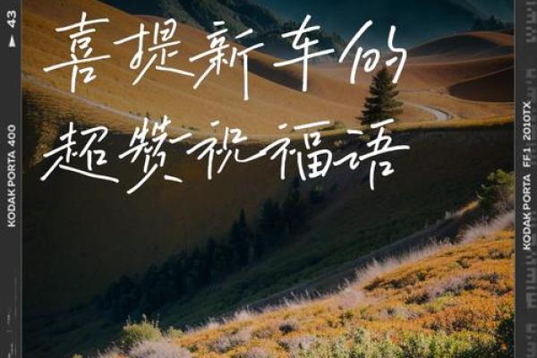 提车什么日子好