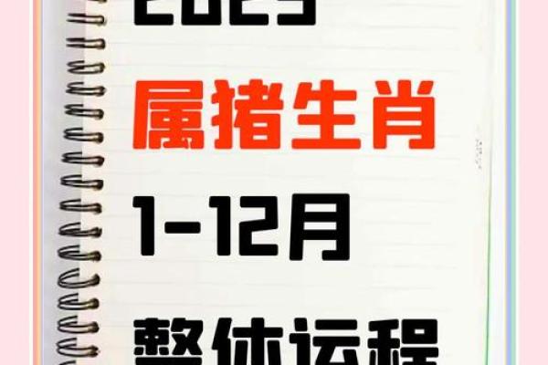 属猪的提车吉日